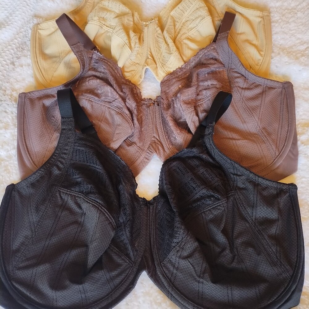 Lillyette Enchanted Minimizer 3 Bra Set - Picture 4 of 11